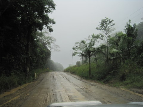 Bloomfield River Cod