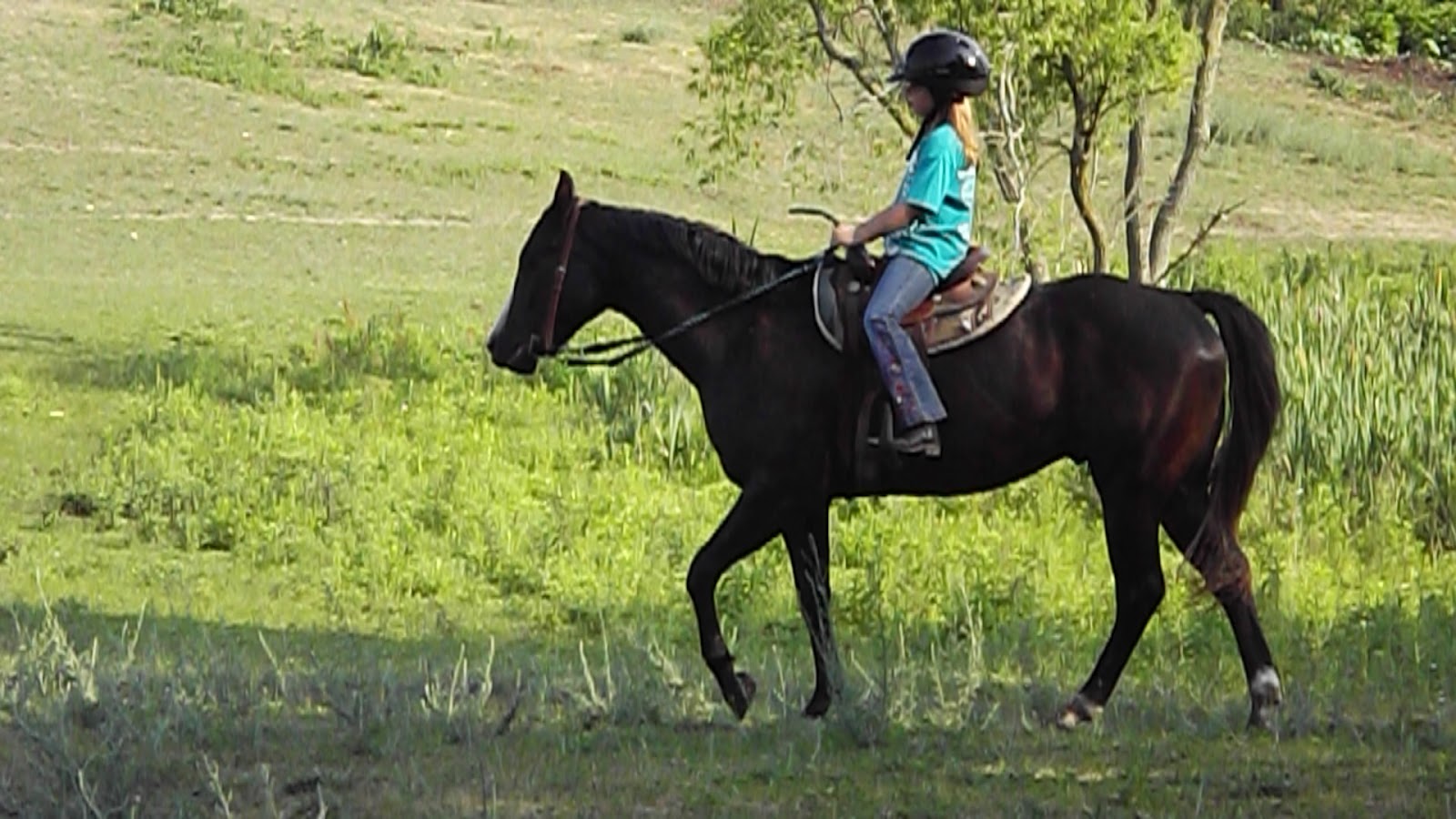 Horseback Riding in Hillsdale MI
