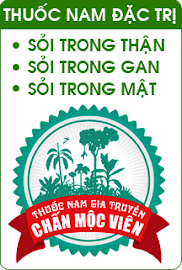 AD Thuốc Nam