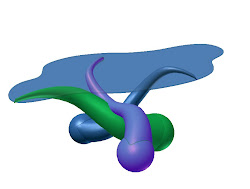 3D Computer Graphic Imaging