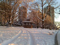 Snow in Vancouver!