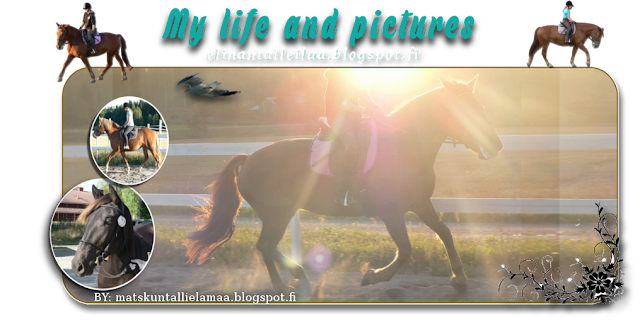 My life and pictures