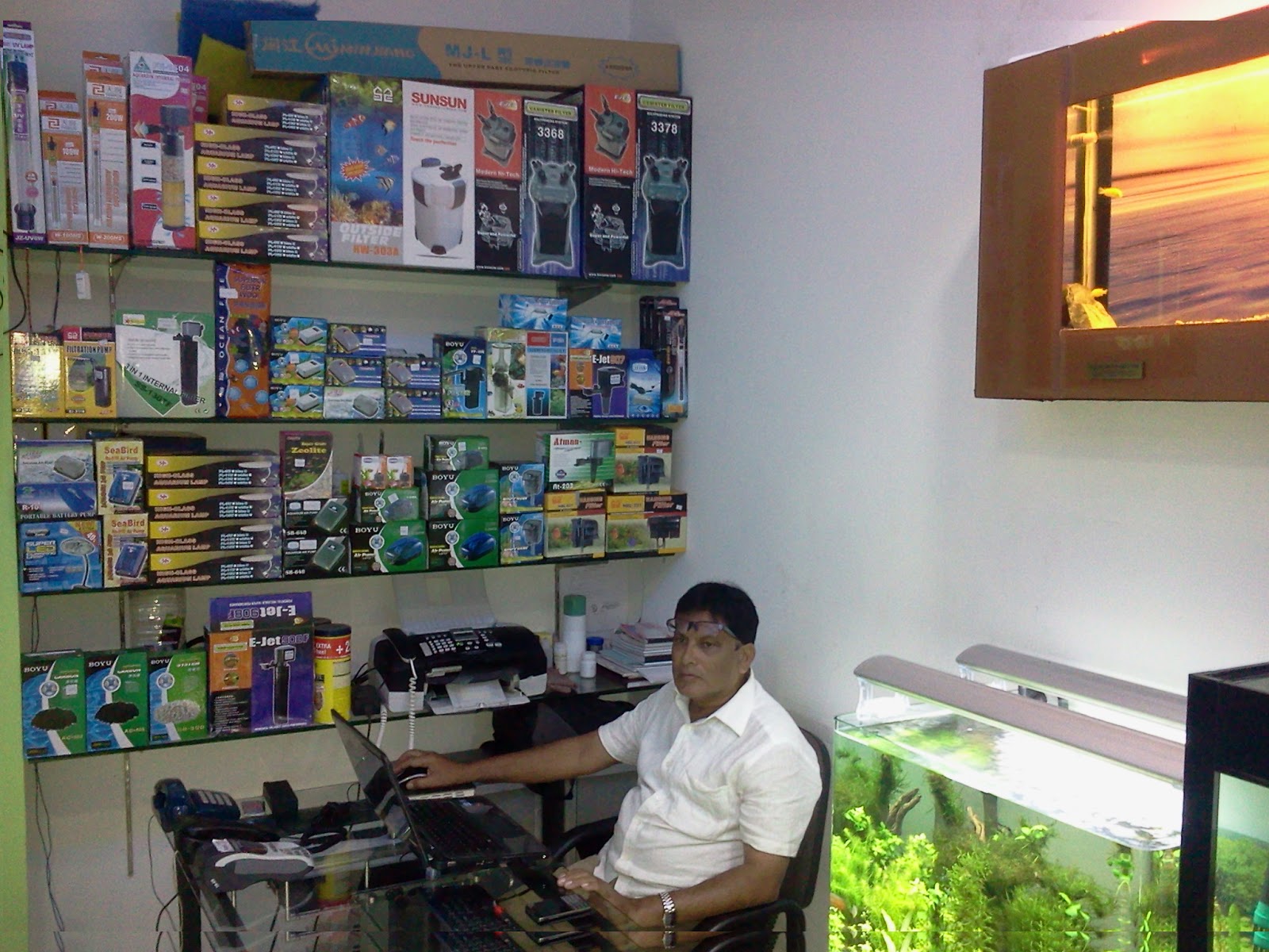 Aquarium Professional in Chennai Aquarium Design India