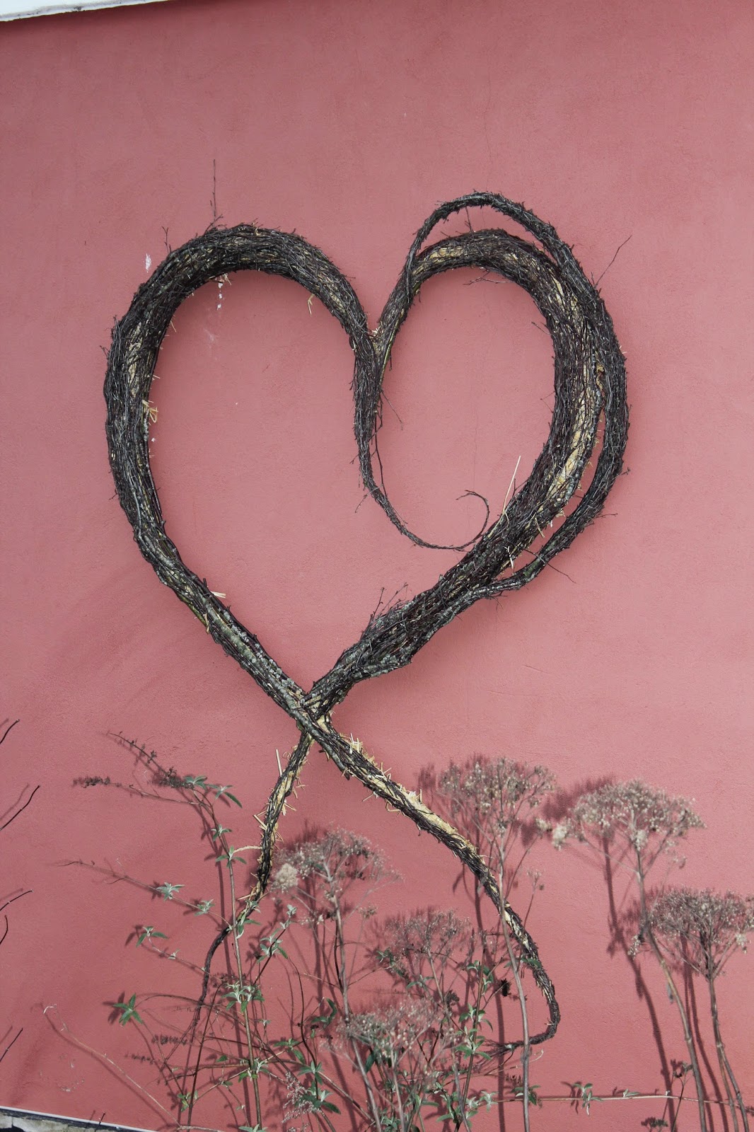 Anettesflora: januar 2015
