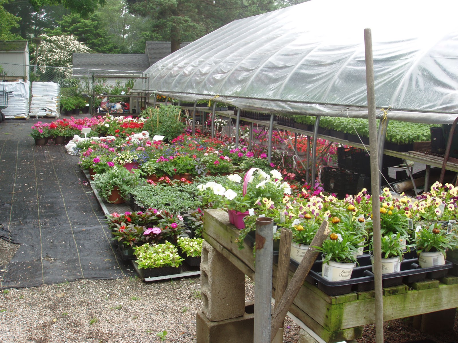 Home Place Shelley's Garden Center in Branford, CT