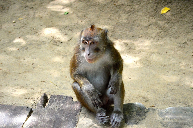 palawan-philippines-what-to-do