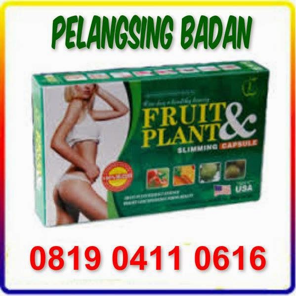 pelangsing.jpg