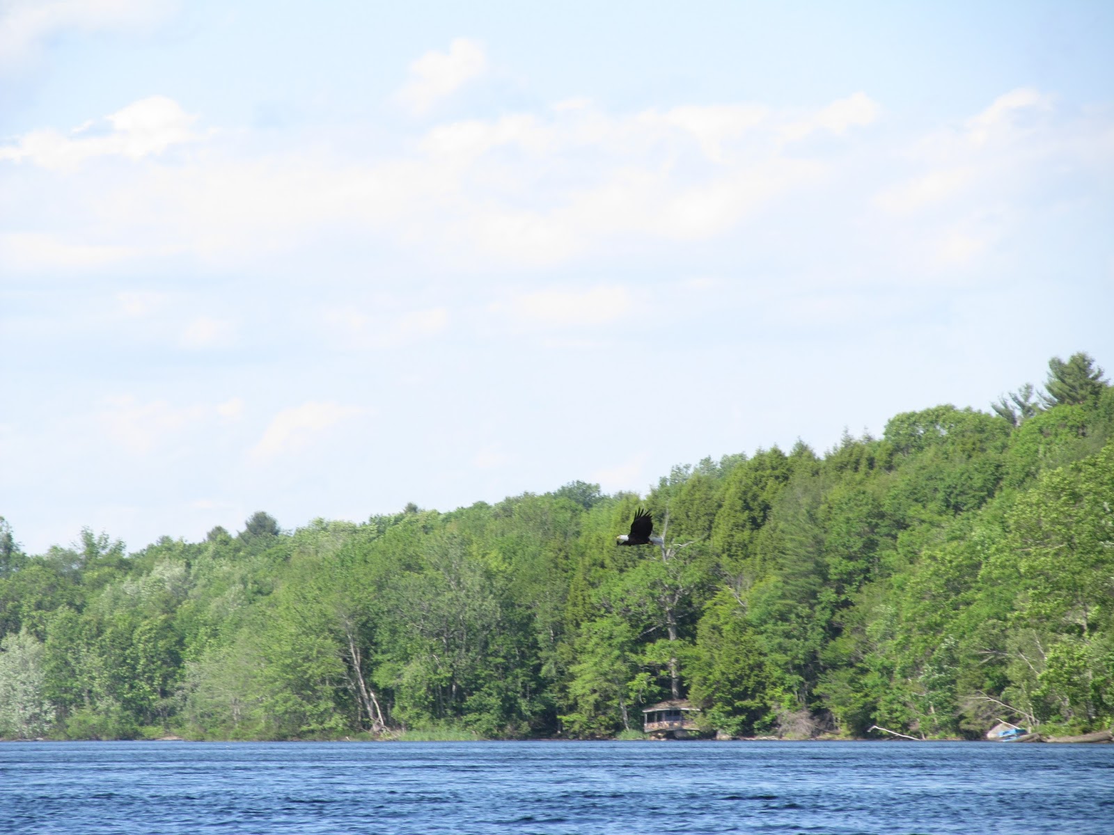 Recreational Kayaking in Maine Upper Pleasant Pond, Richmond, Maine