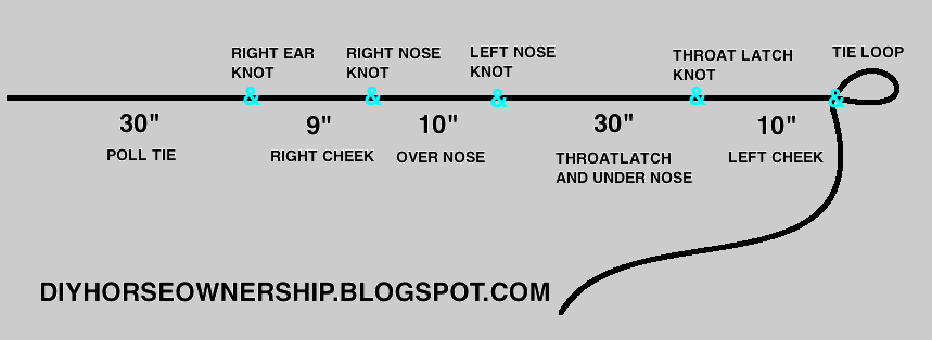 halter rope tie yourself horse measure loop knot nose another attach point