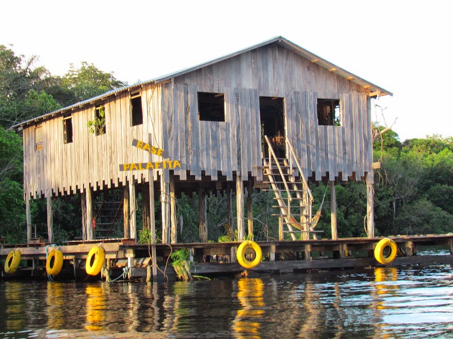 Base palafita