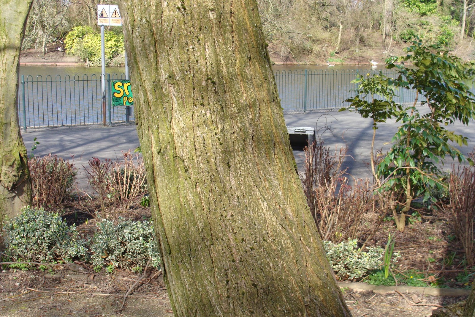 Tony S Blog November 2017