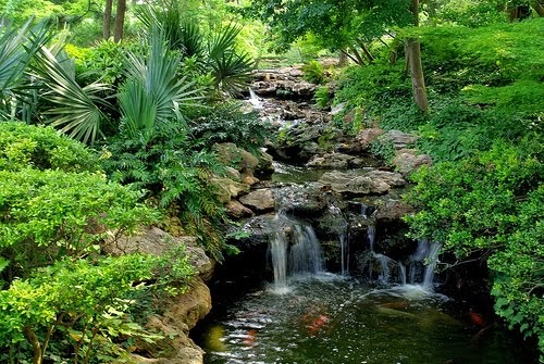 koi-pond-rock-ideas-black-lava-rocks.jpg