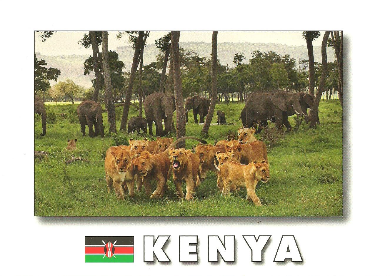 Collecting postcards from all around the world Kenya safari