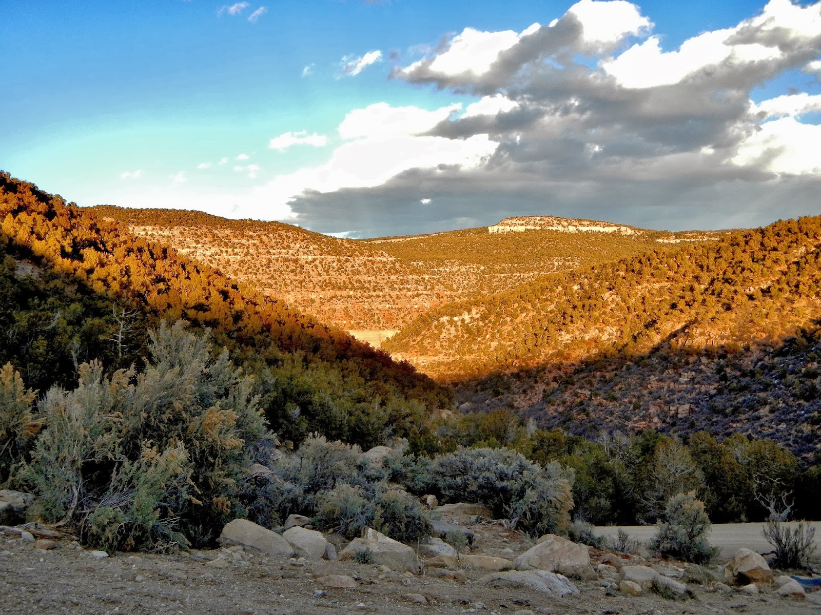 The Southwest Through Wide Brown Eyes All Roads Lead to Montezuma