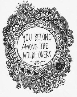 wallflowers are wildflowers.
