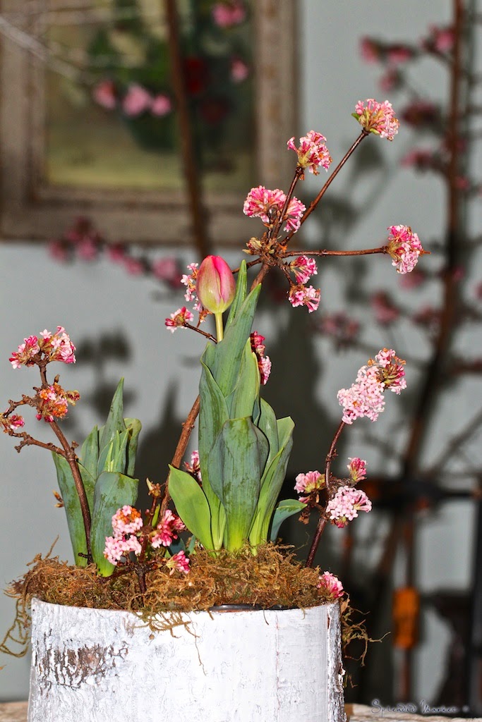 Beechwood Landscape Architecture And Construction Japanese