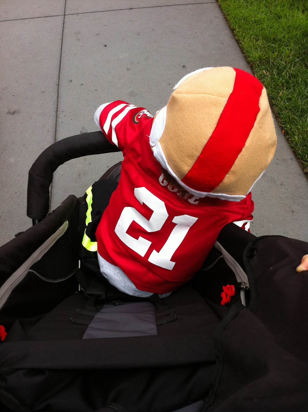 hummingbird hype Soft football helmet DIY