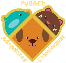 PyBACh - Adopciones