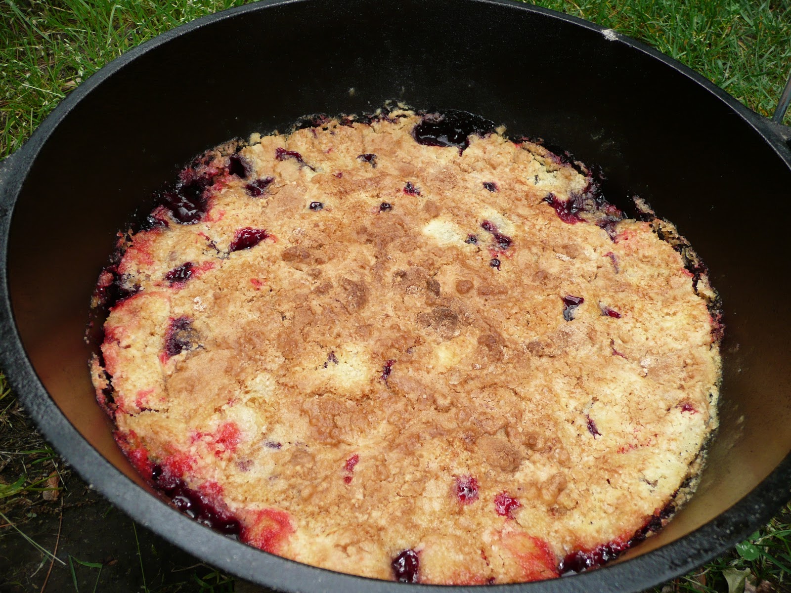 Everyday Dutch Oven Very Berry Blackberry Dump Cake