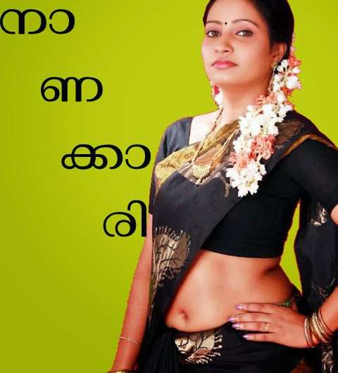 2014-Malayalam New Kambi kathakal Collection Nanakkari