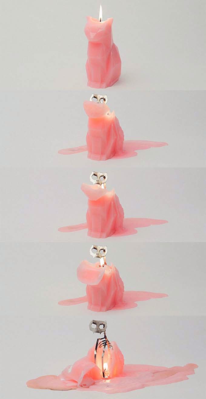 Kisa by Pyro Pet Kisa by Pyro Pet