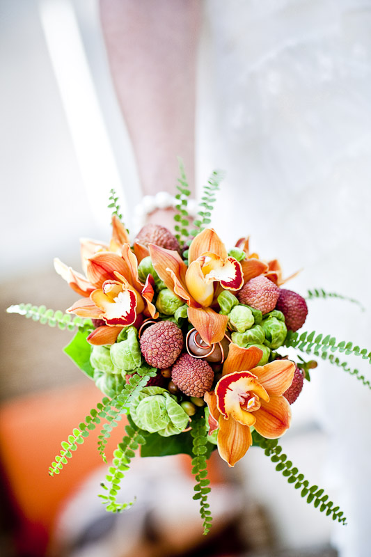 paradis express: Datura, a modern garden