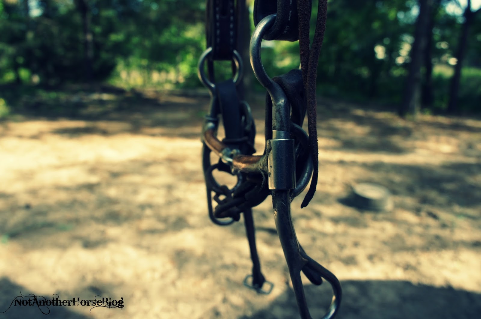 Not Another Horse Blog Proper Bit Fit Tom Thumb vs. Shanked Snaffle