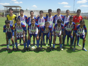 Copa Alagoas 2013