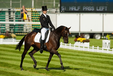 DRESSAGE is outrageous cruelty to horses [1]