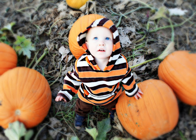 Pumpkin Patch 2011