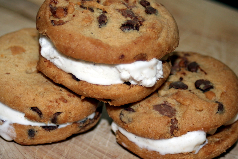 Greene Acres Hobby Farm Make Your Own Ice Cream Cookie Sandwich Maker