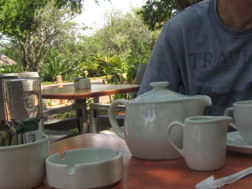 Südafrika 2 National Botanical Garden Pretoria Bergblumengarten