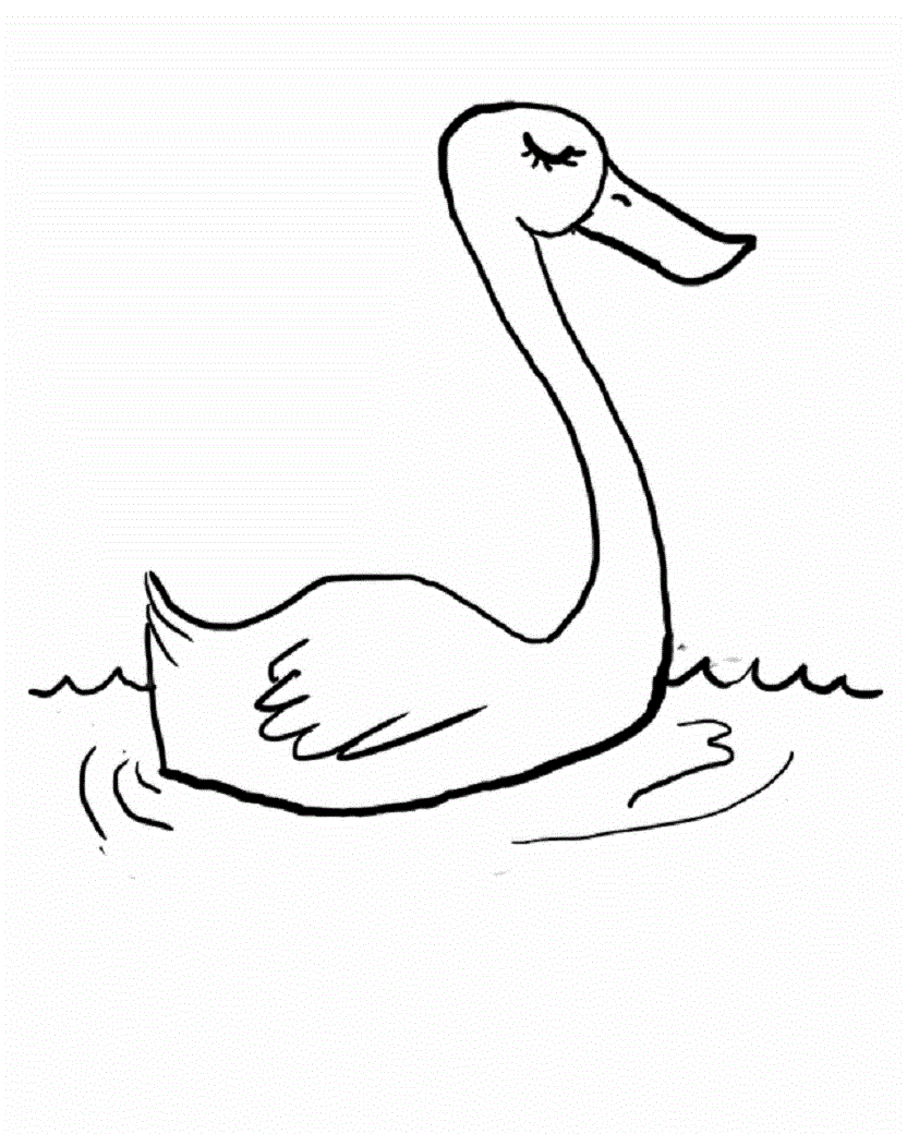 Beauyiful Swan Colour Drawing HD Wallpaper