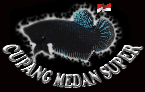 Cupang Medan