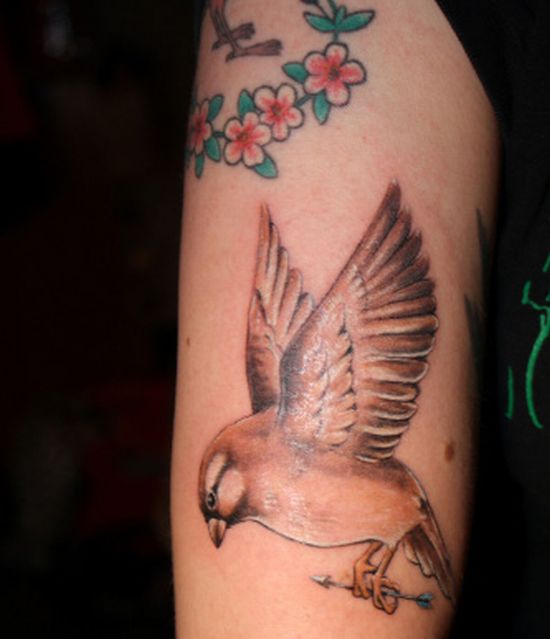 All Tattoo Designs Pictures: Sparrow Tattoo Meaning