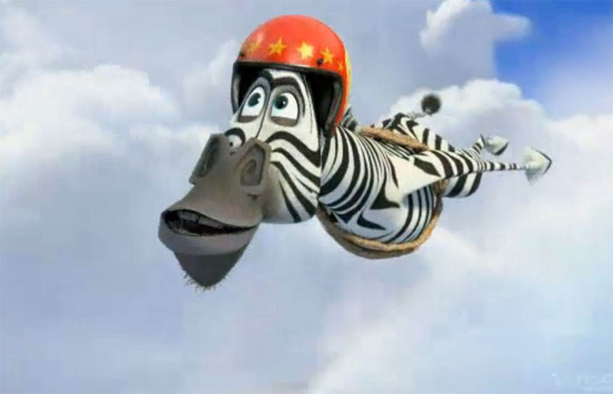 zebra of madagascar