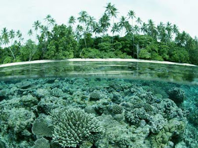 Solomon islands Solomon islands