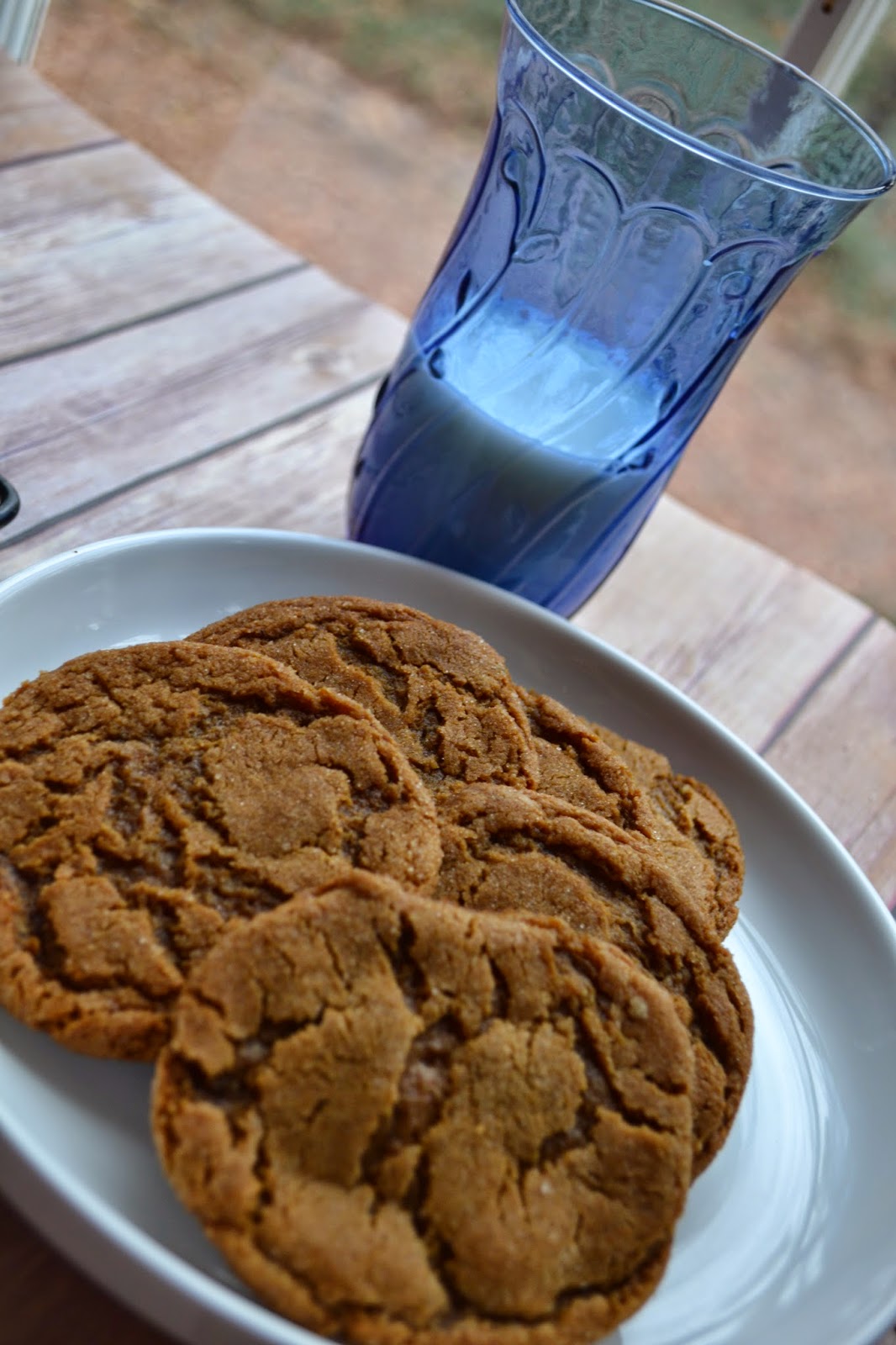 Spicy Ginger Cookies