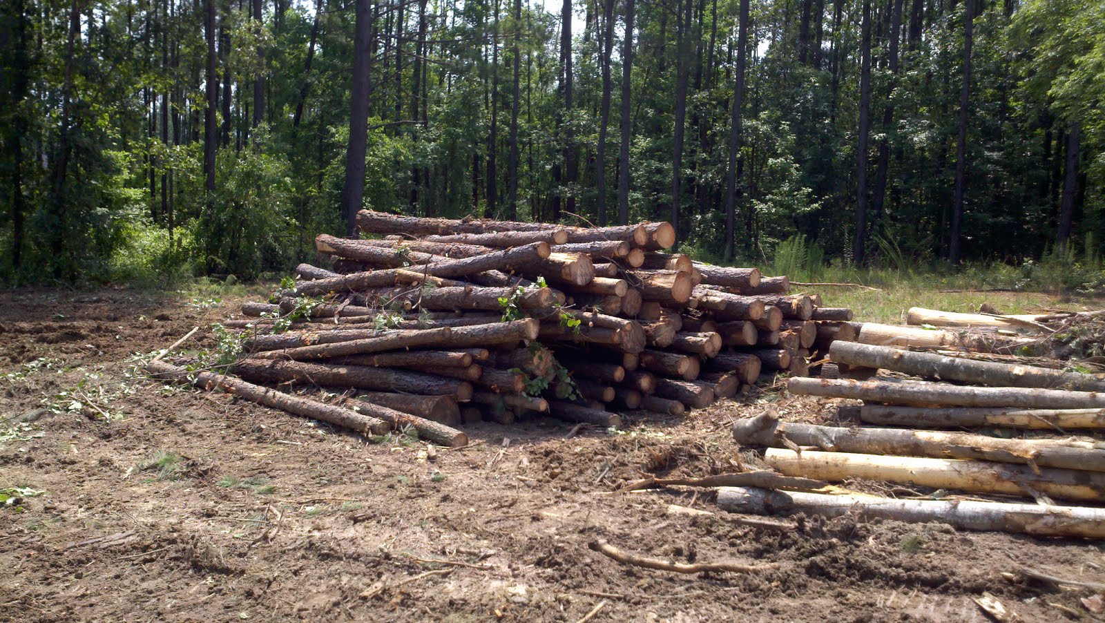 FIRST GREEN HOME CONSTRUCTION