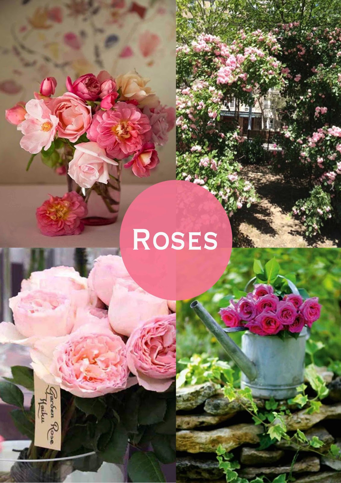 A Florist in the Garden Laylocks Life