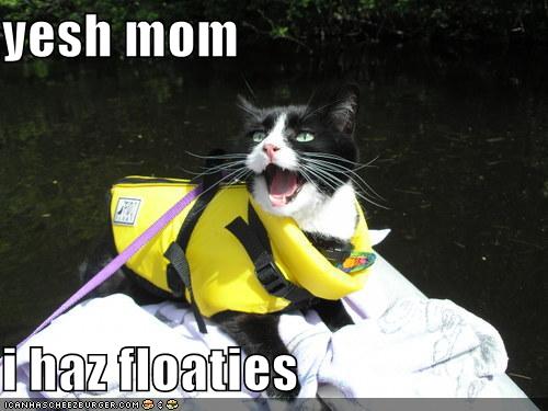 Floaties lolcat