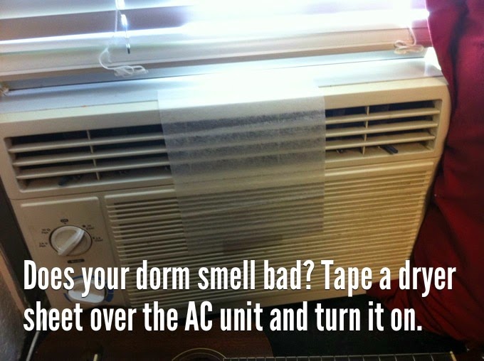 Life Hacks If Your Dorm Room Smells like Farts and Regret Use This