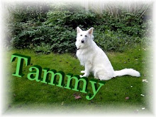 TAMMY