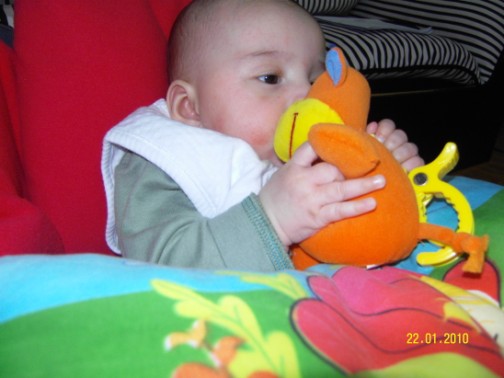 Evrim Arda Sevimli İnek eti yenir mi ? dur bakayım )