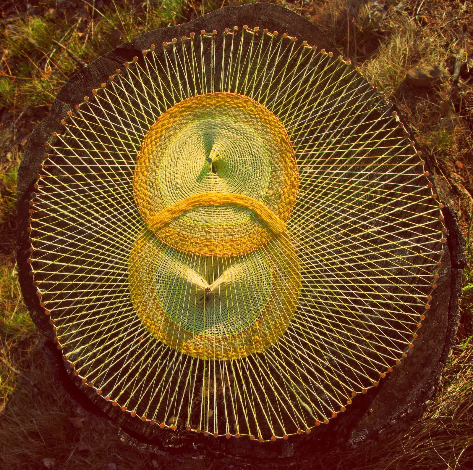 Alnilam55555 Sic itur ad astra. Ad Infinitum...