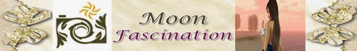Fascination for...Moon and SL Fashion