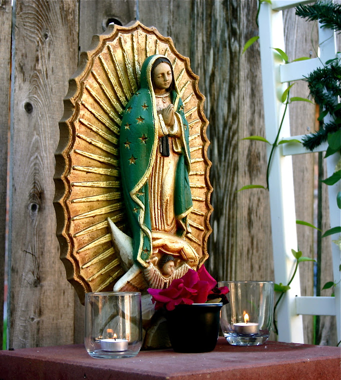 Lady Tonantzin of Guadalupe