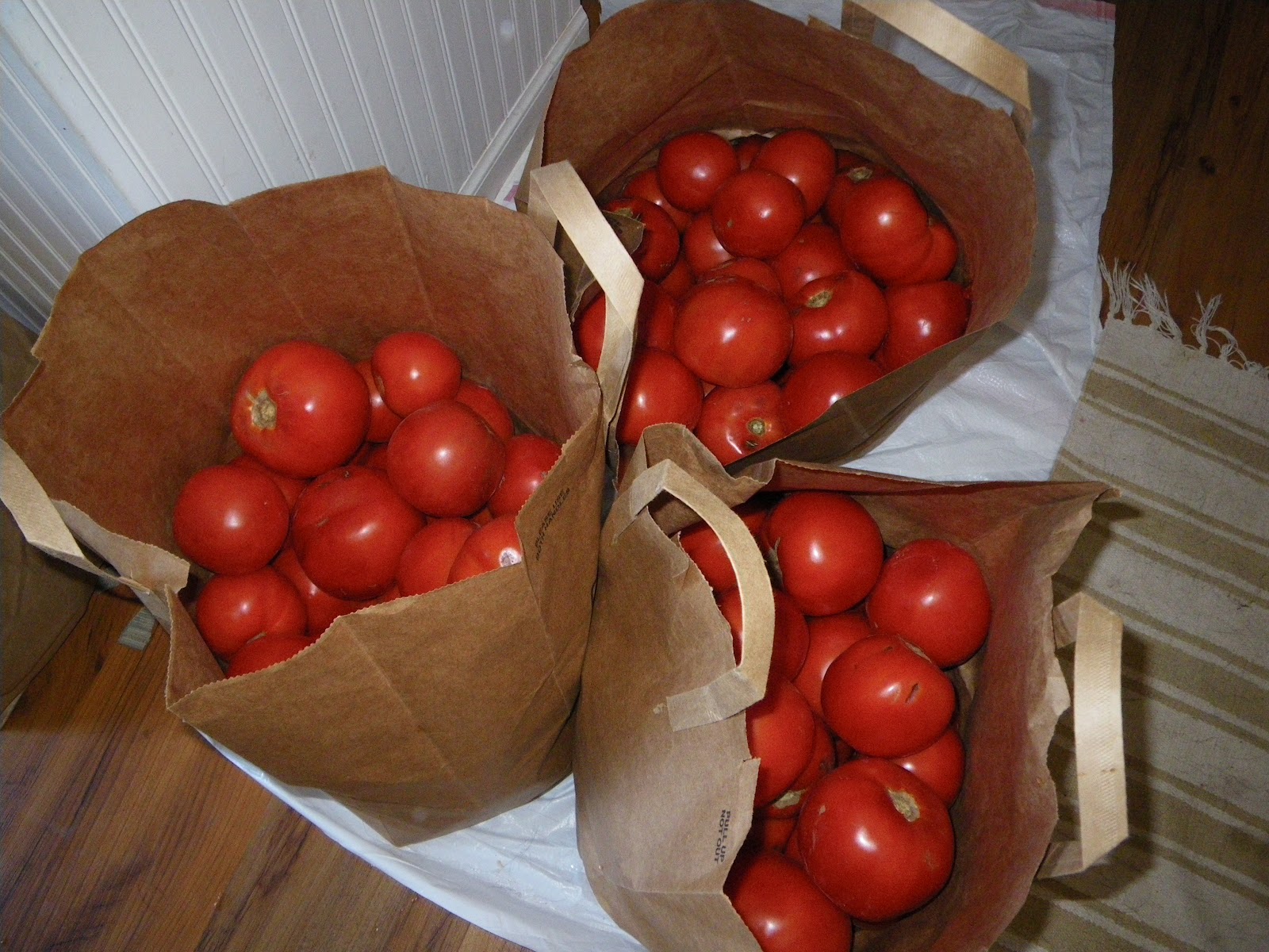 Mom in Shining Armor Adventures in Canning Tomato Juice