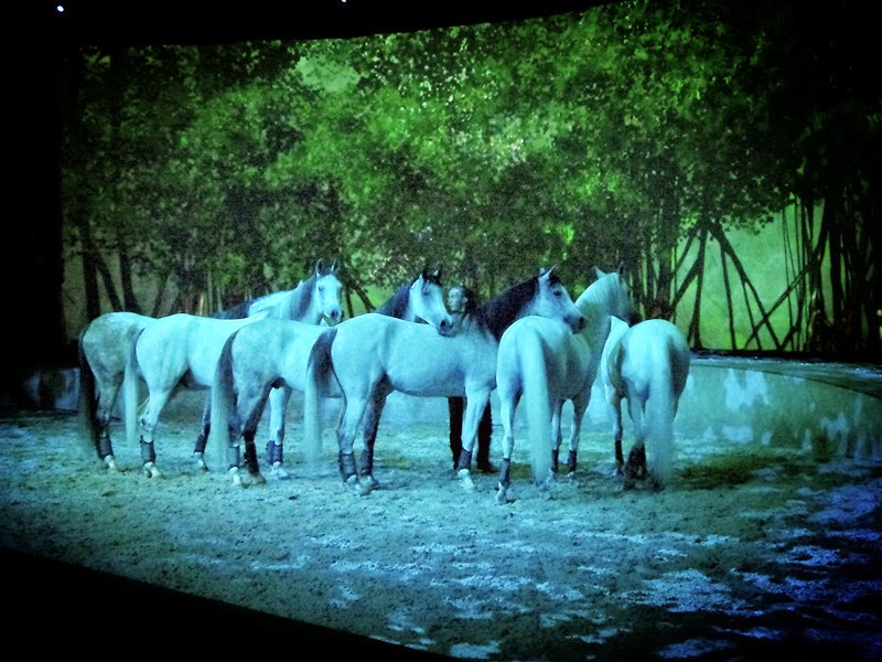 Cavalia RxR Magazine