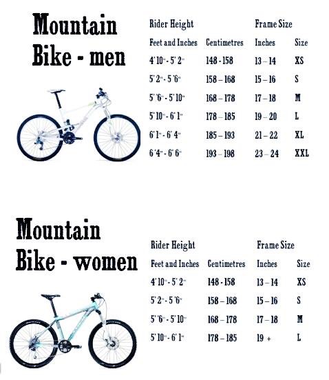 Road Bike 21 Inch Mountain Bike Frame For What Height CRADIAC